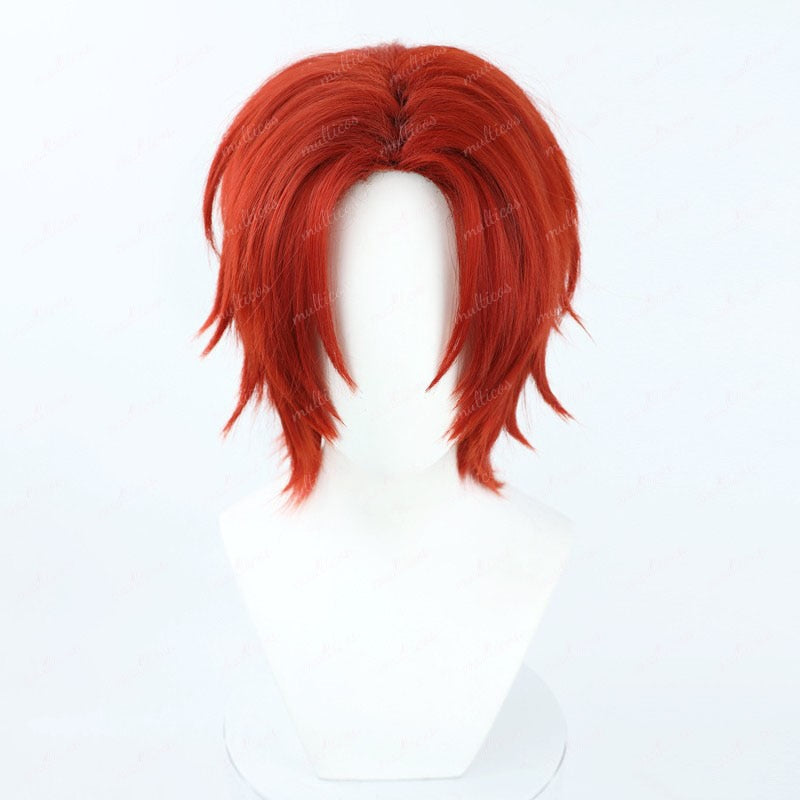 One Piece Cosplay All Characters Wigs